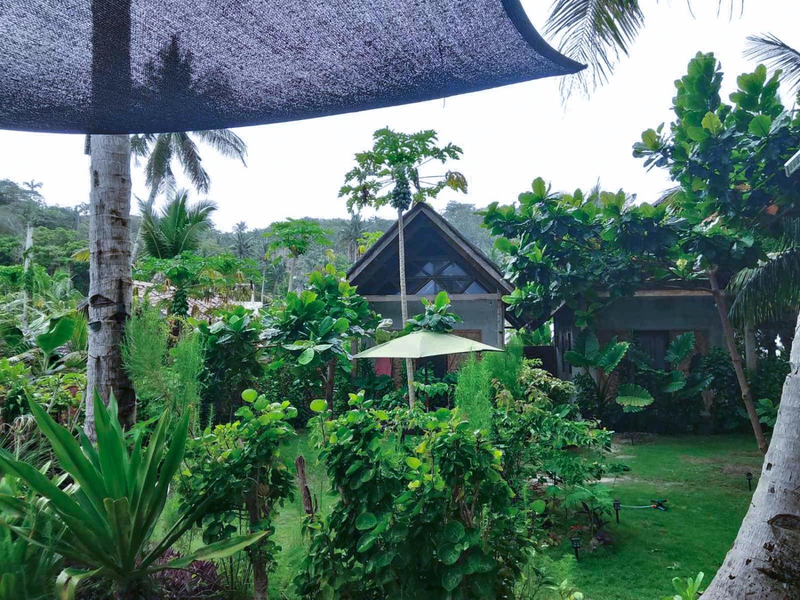 Coleto Siargao Bed and Breakfast San Isidro  Εξωτερικό φωτογραφία