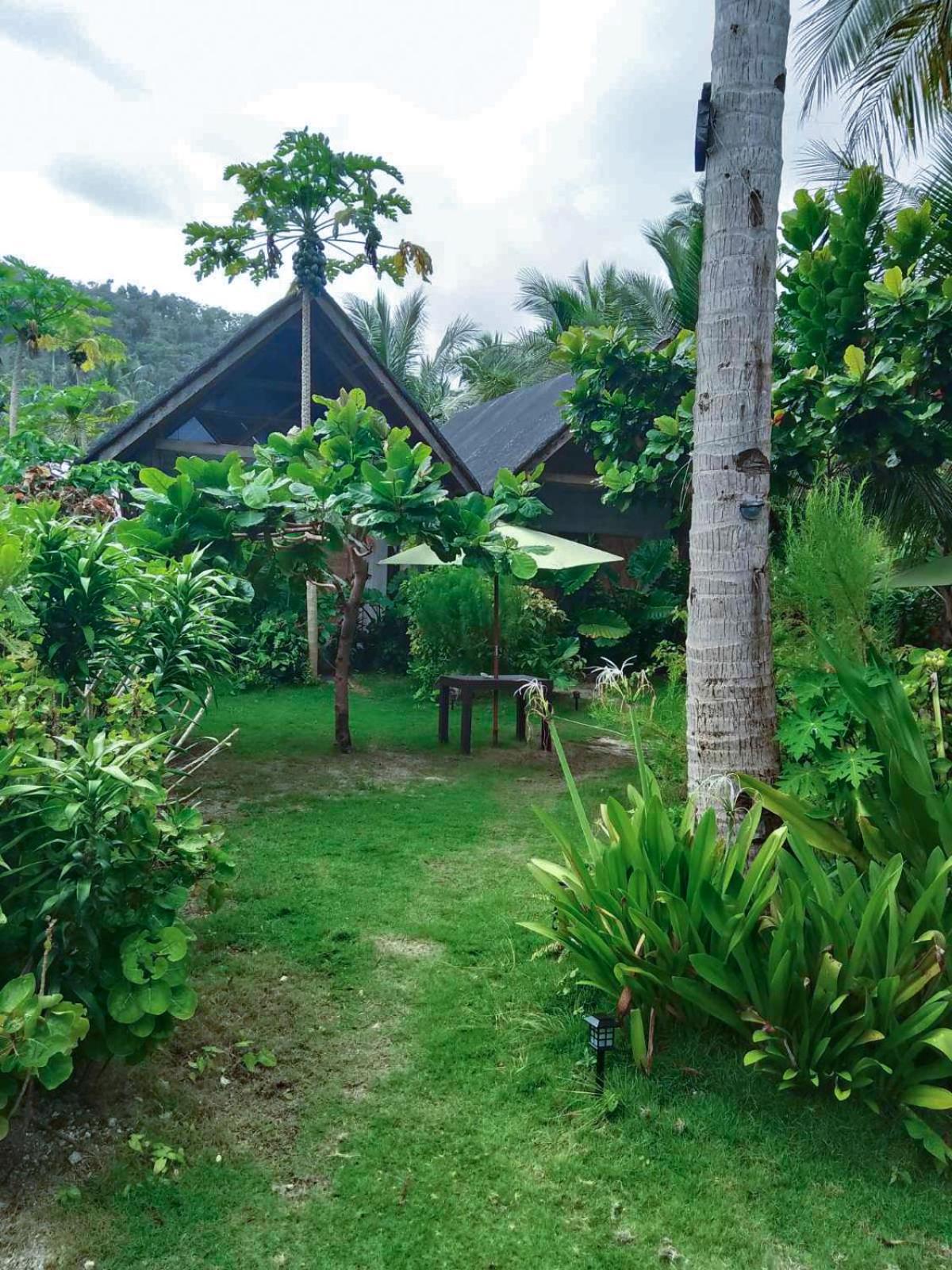 Coleto Siargao Bed and Breakfast San Isidro  Εξωτερικό φωτογραφία