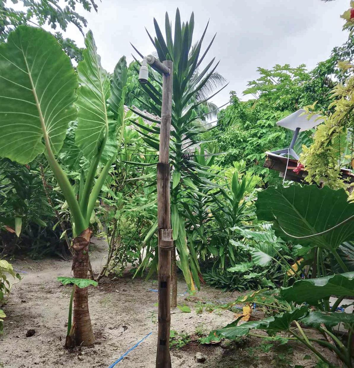 Coleto Siargao Bed and Breakfast San Isidro  Εξωτερικό φωτογραφία