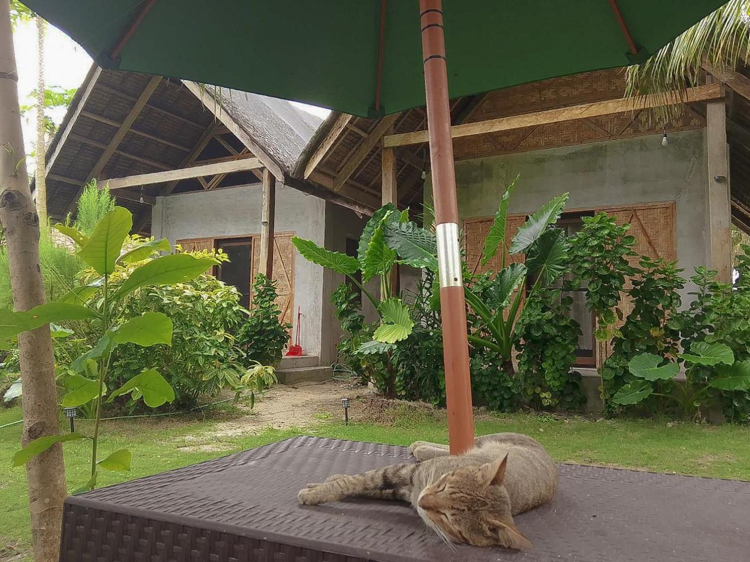Coleto Siargao Bed and Breakfast San Isidro  Εξωτερικό φωτογραφία