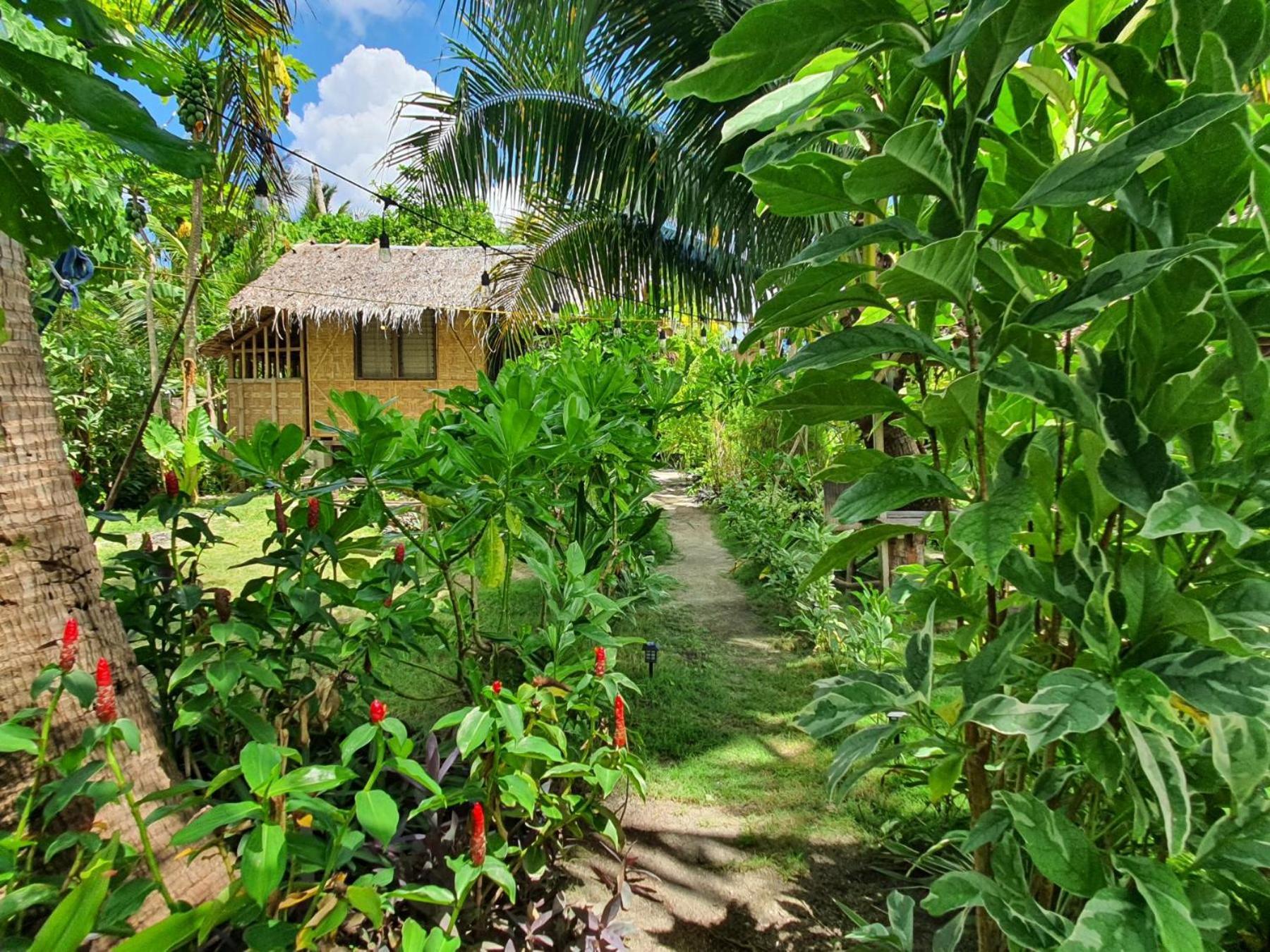 Coleto Siargao Bed and Breakfast San Isidro  Εξωτερικό φωτογραφία