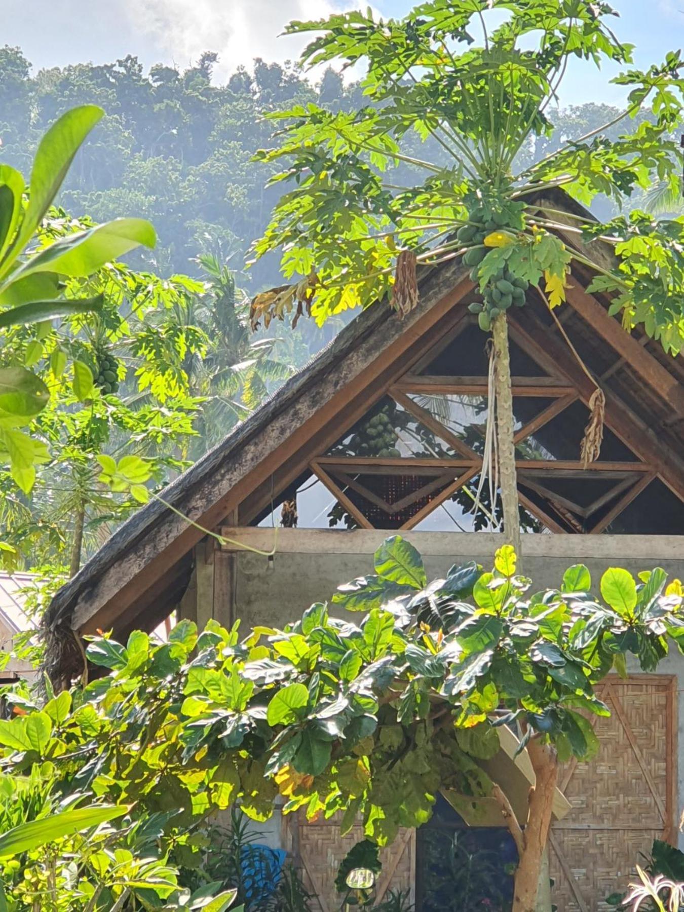 Coleto Siargao Bed and Breakfast San Isidro  Εξωτερικό φωτογραφία