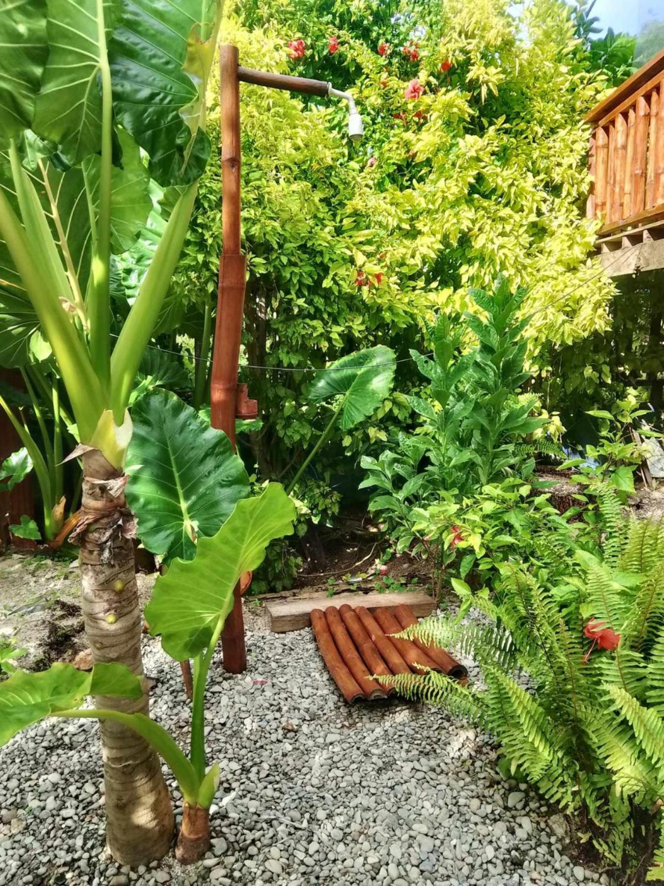 Coleto Siargao Bed and Breakfast San Isidro  Εξωτερικό φωτογραφία