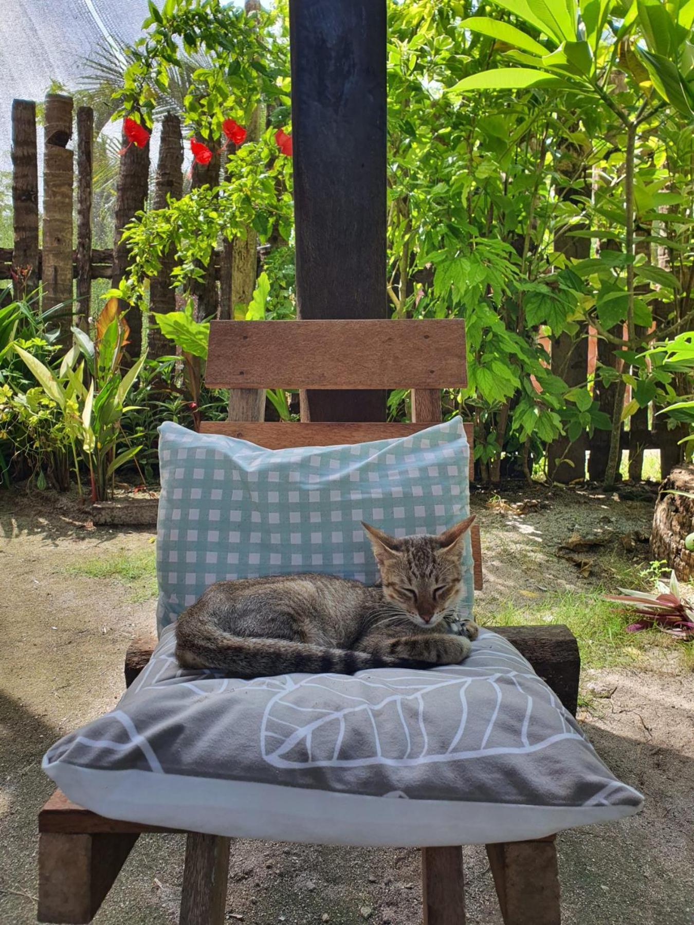 Coleto Siargao Bed and Breakfast San Isidro  Εξωτερικό φωτογραφία