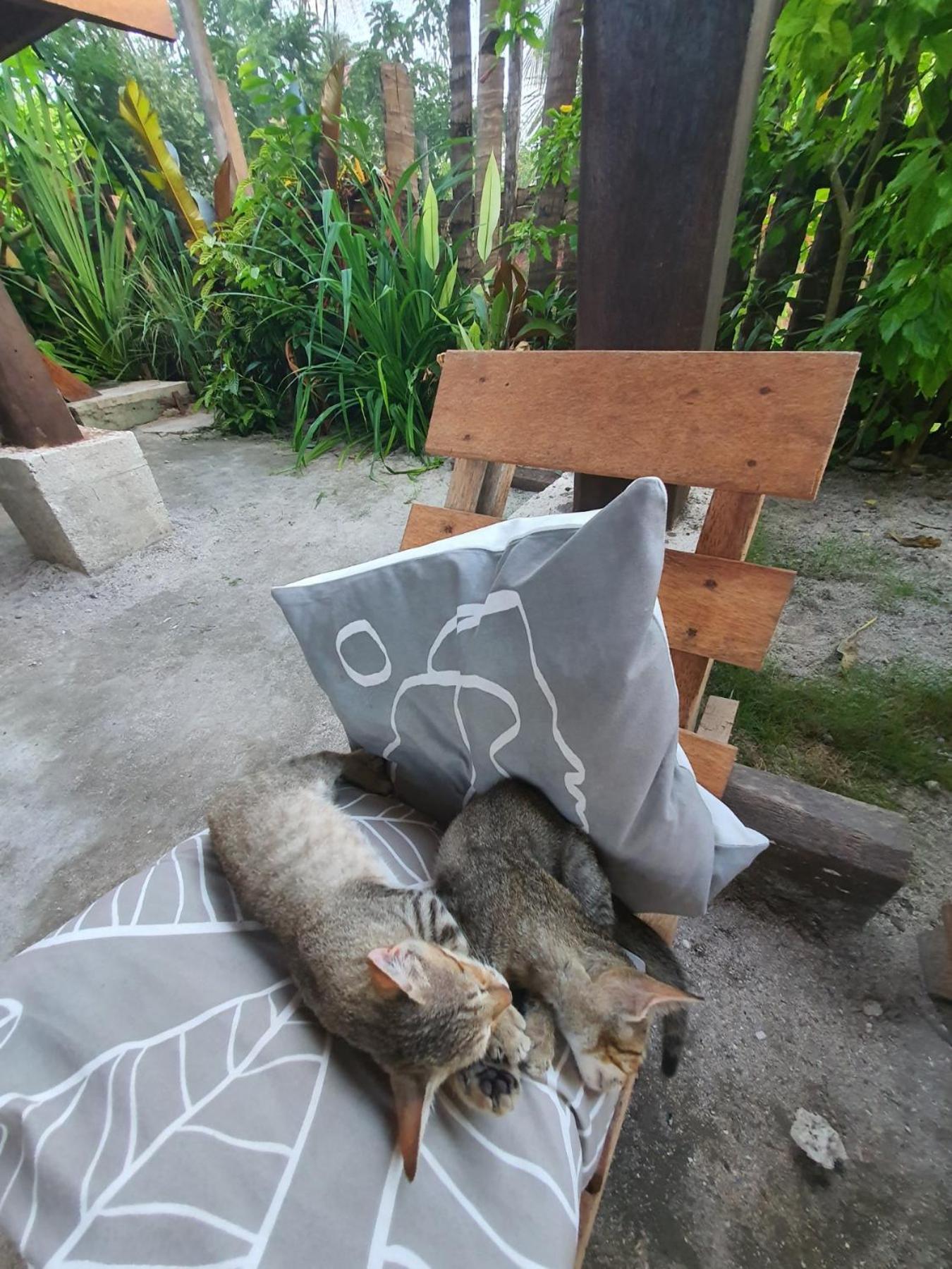 Coleto Siargao Bed and Breakfast San Isidro  Εξωτερικό φωτογραφία